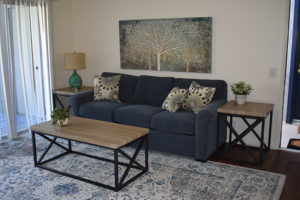 Newly furnished living room