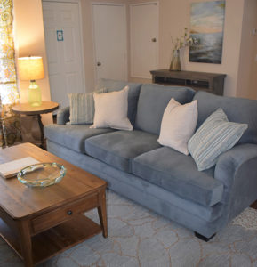 Newly furnished living room