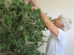 Volunteers delivering furniture