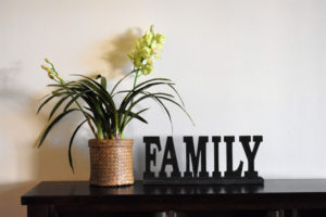 Newly furnished living room